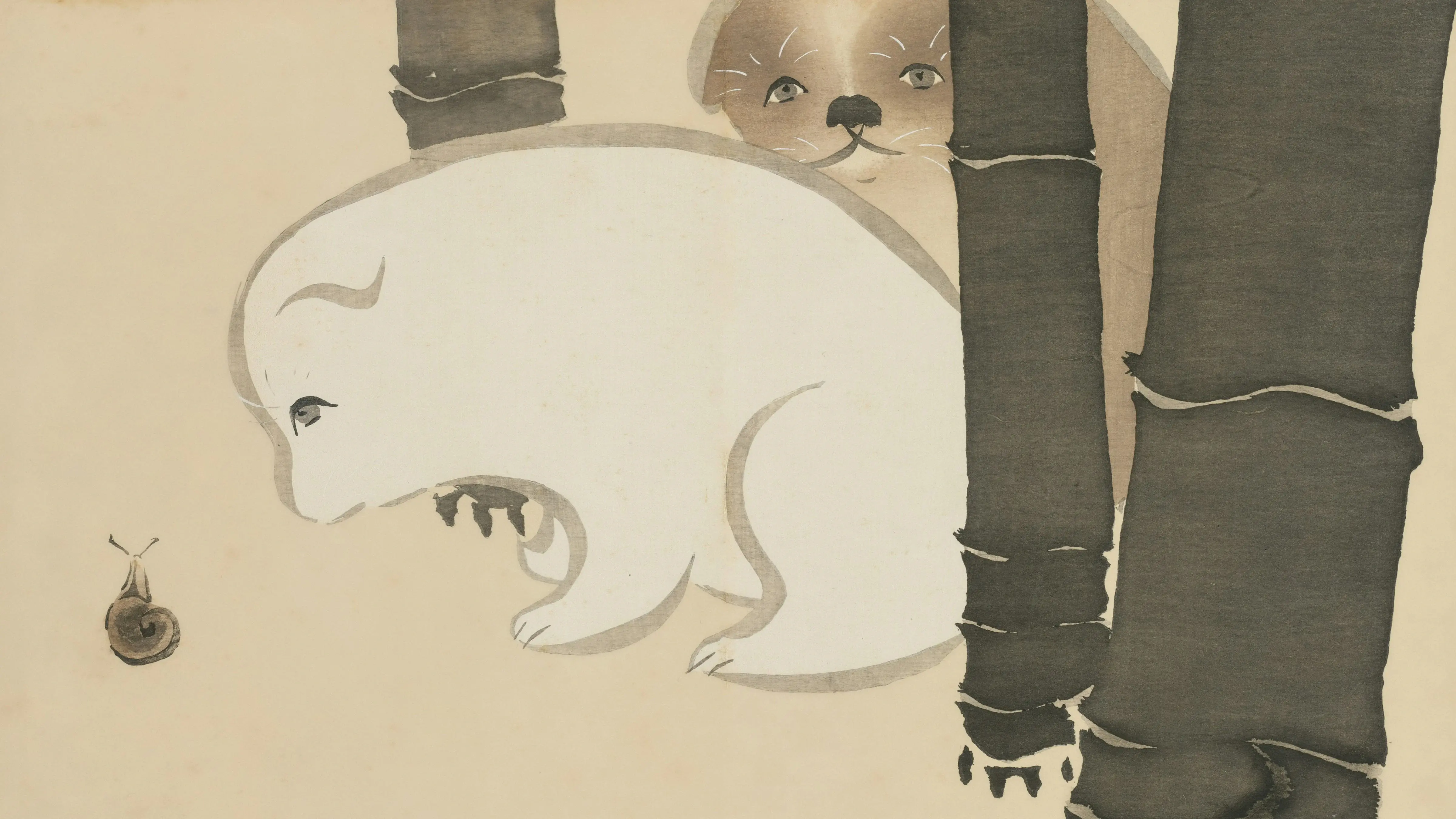 ¿Por qué los perros viven menos?